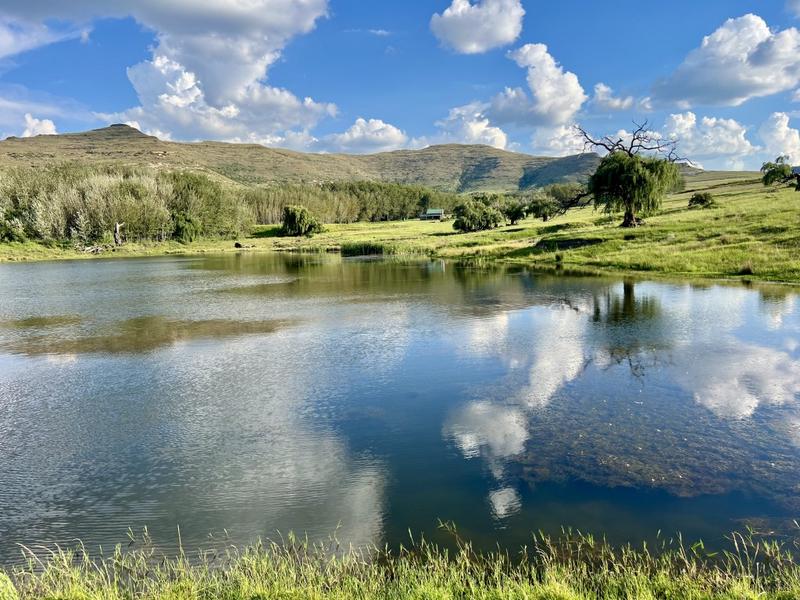 0 Bedroom Property for Sale in Fouriesburg Free State